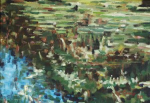 Stagno - fantasia di colori