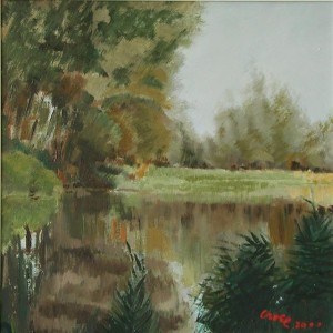 Riflessi nello stano